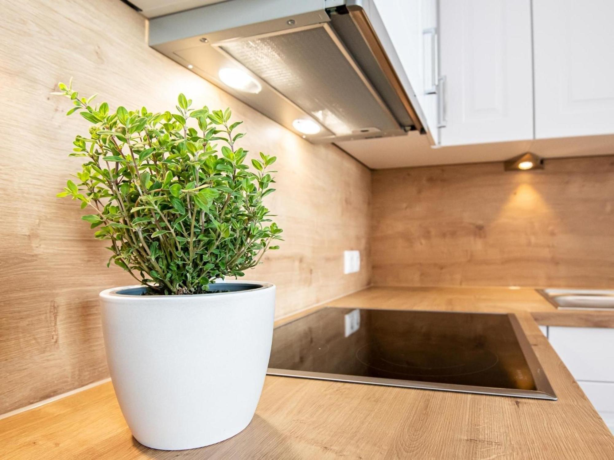 Berolina 804 Penthouse Mit Meerblick Dahme Dış mekan fotoğraf